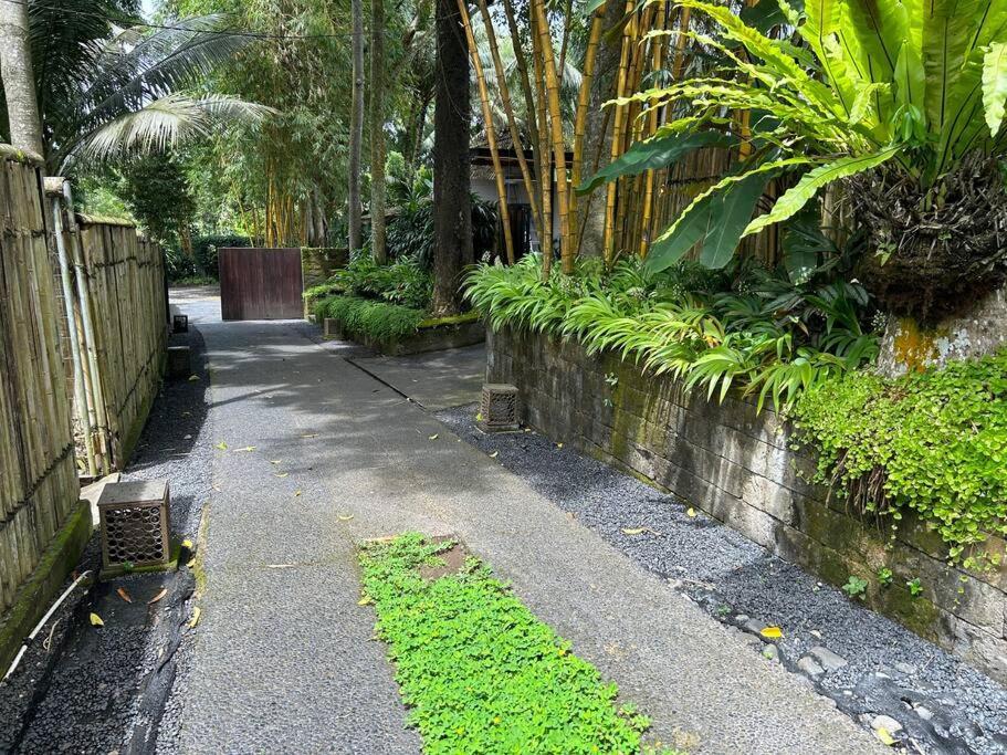Boho Bellissimo Villa Ubud Eksteriør billede